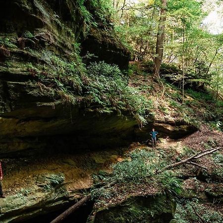 Dunlap Hollow A-Frame Rockbridge Kültér fotó