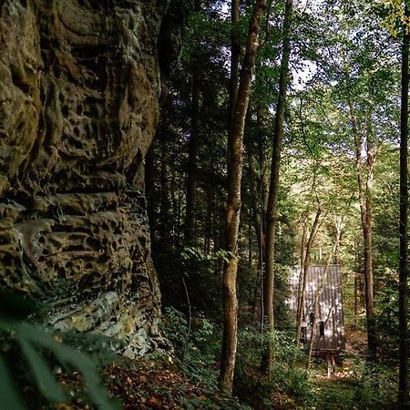 Dunlap Hollow A-Frame Rockbridge Kültér fotó