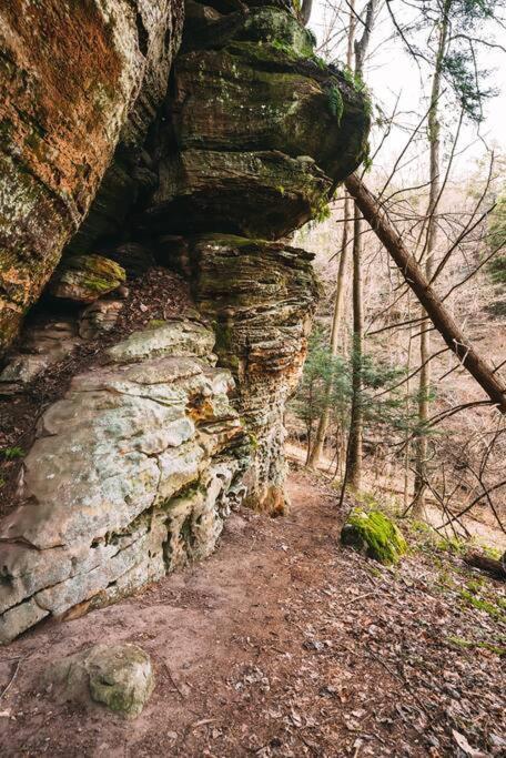 Dunlap Hollow A-Frame Rockbridge Kültér fotó