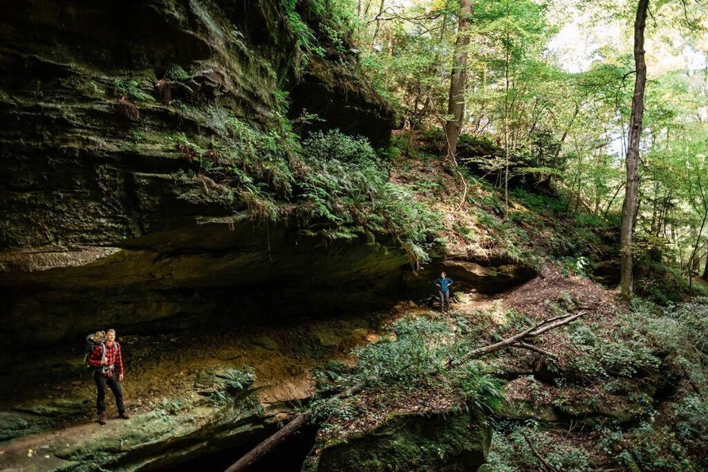 Dunlap Hollow A-Frame Rockbridge Kültér fotó