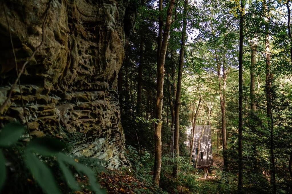 Dunlap Hollow A-Frame Rockbridge Kültér fotó