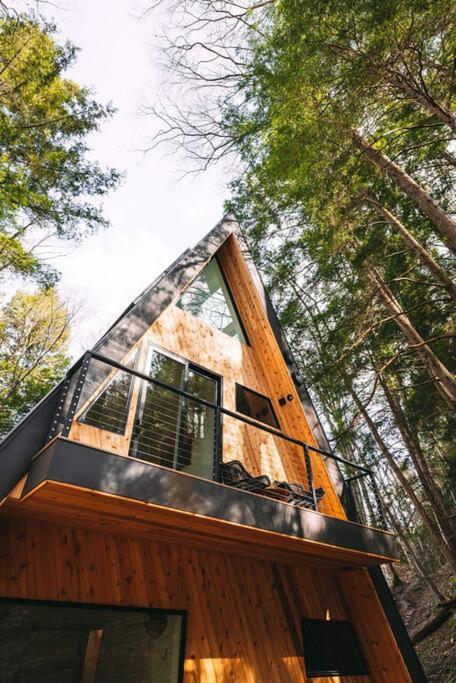 Dunlap Hollow A-Frame Rockbridge Kültér fotó