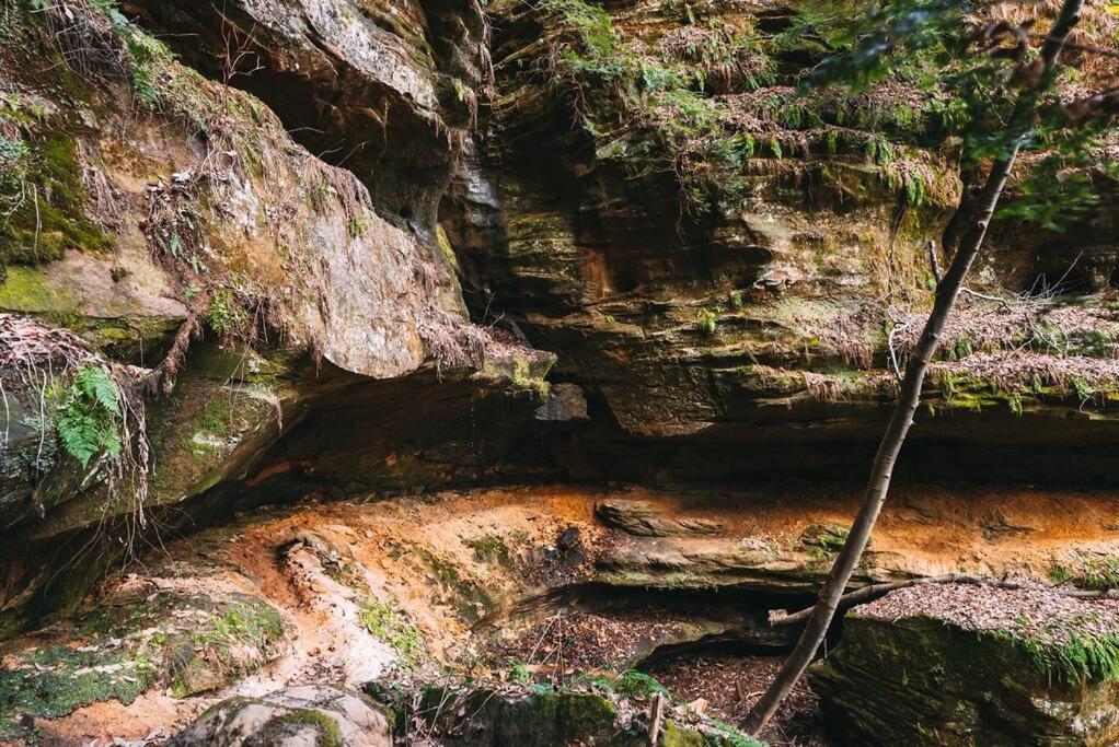 Dunlap Hollow A-Frame Rockbridge Kültér fotó