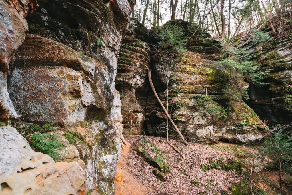 Dunlap Hollow A-Frame Rockbridge Kültér fotó